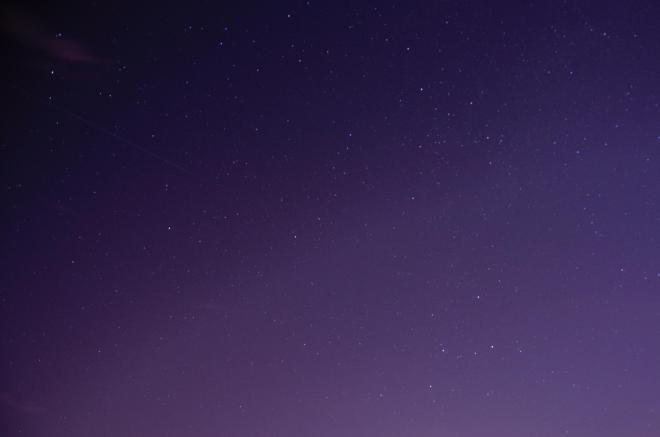 A printed wallpaper design featuring Ultra Violet